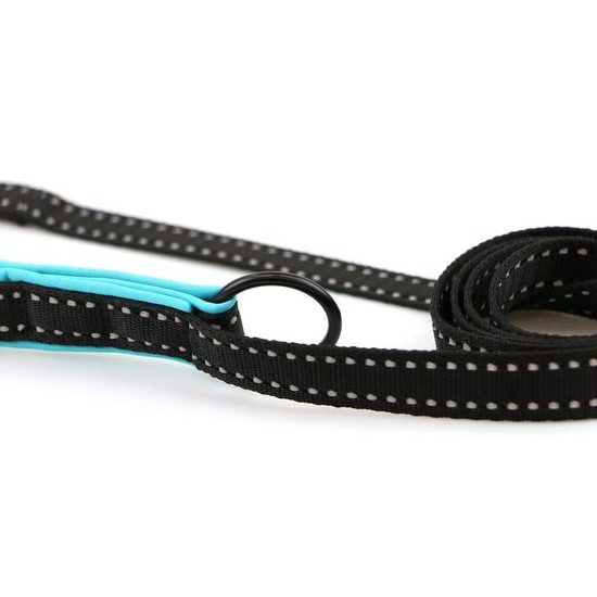 Aminela jednoduché vodítko nepodšité Sport & City 20mm/150cm tyrkysová