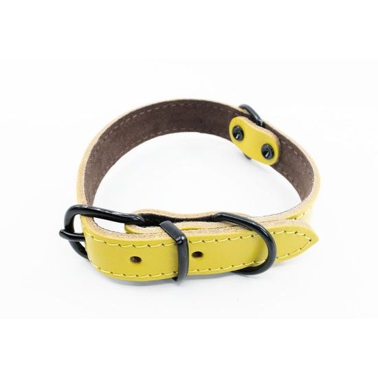 BafPet Kožený obojek ARGUS černé kování žlutá