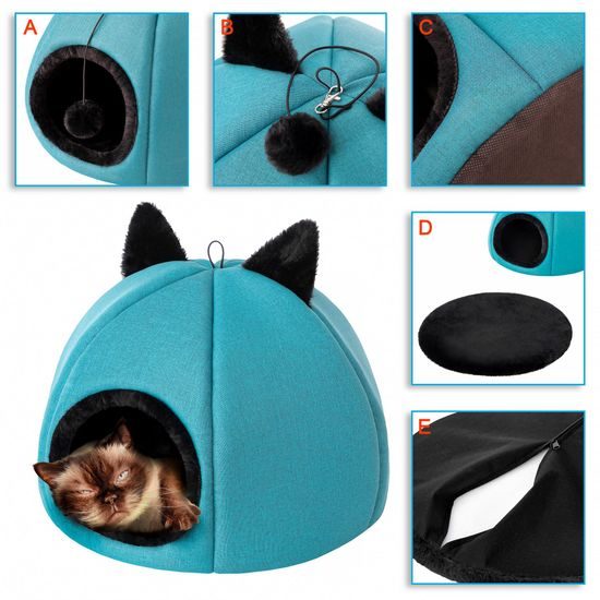 Reedog Iglú Kitty Head Blue