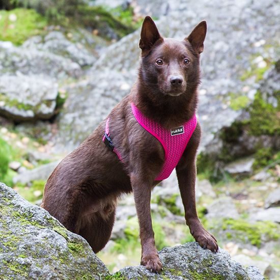 Rukka Comfort Air postroj