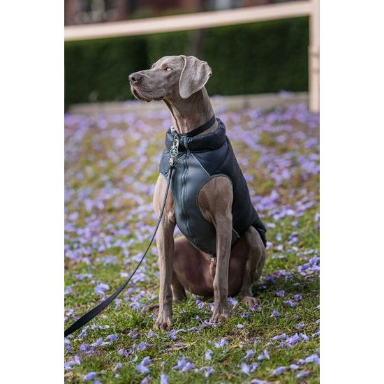 Red Dingo bunda Puffer Jacket Red/Orange velikost bundy 60 cm