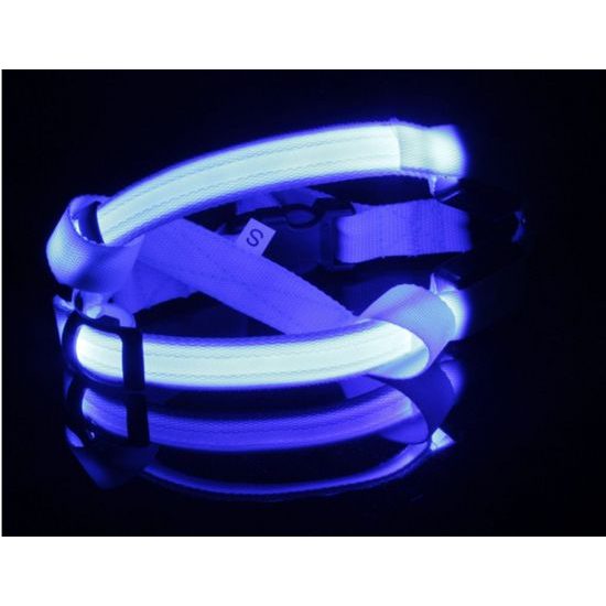 Reedog svíticí kšíry pro psy a kočky