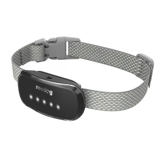 Reedog Protištěkací obojek TC-005