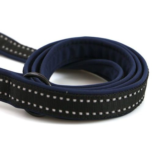 Aminela jednoduché vodítko podšité Sport & City 25mm/150cm modrá