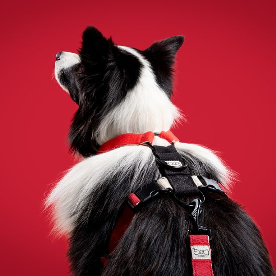 FUNKY DOG Konopné krátké vodítko pro psa 1,7 m červené