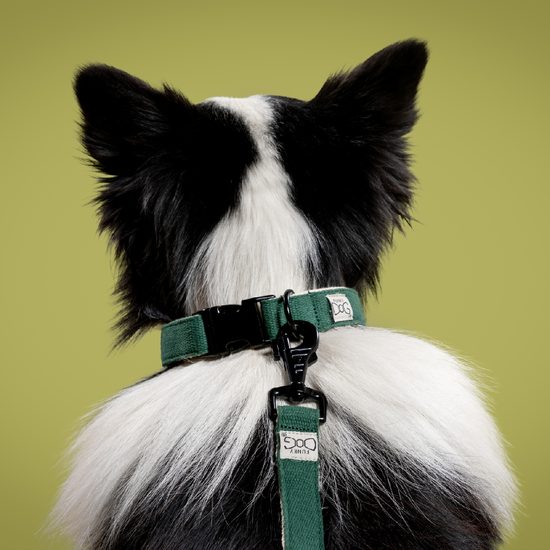 FUNKY DOG Konopné přepínací vodítko pro psa 3 m zelené