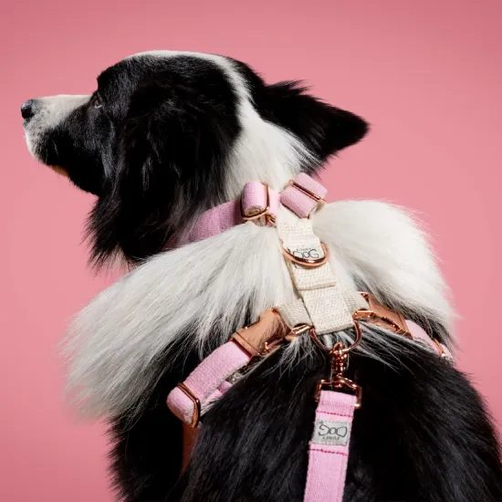 FUNKY DOG Konopné krátké vodítko pro psa 1,7 m světlé růžové