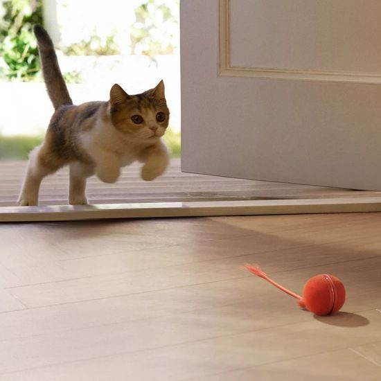 Cheerble Wicked Ball Duo2