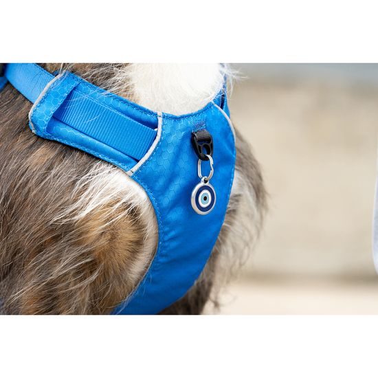 Red Dingo postroj Sport Electric Blue 25 mm x 75-112 cm