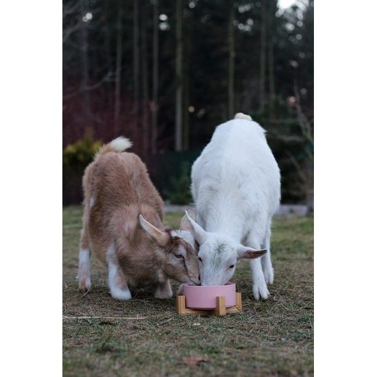 Aminela keramická miska v dřevěném stojanu růžová 750ml