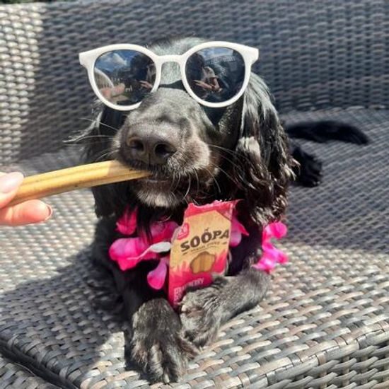 Soopa Pets Dentální tyčinky Soopa Jahodové Dog-Quiri 100 g