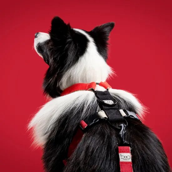 FUNKY DOG Konopné krátké vodítko pro psa 1,7 m červené