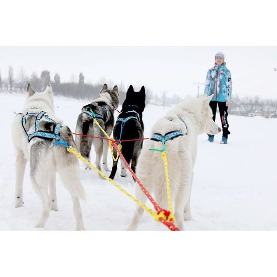 ManMat postroj SLED
