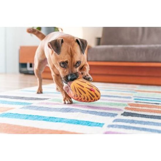 Red Dingo Durables Ježura Eddie