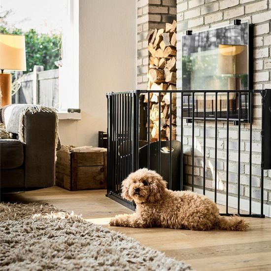 DogSpace Max L prostorová zábrana kovová černá
