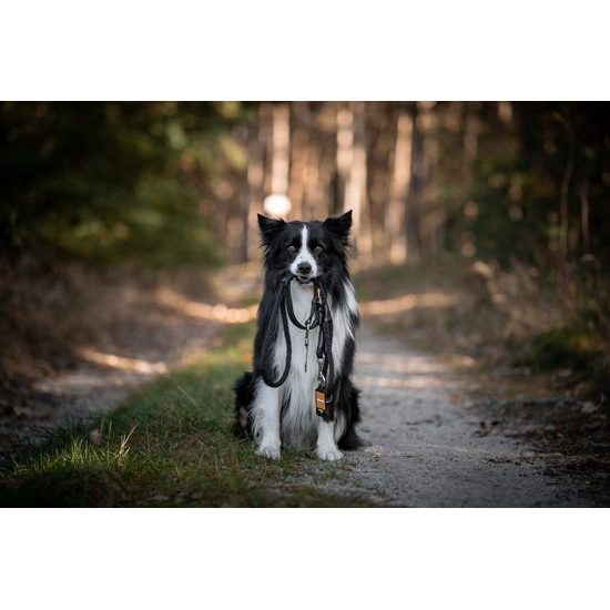 Aminela lanové vodítko 12mm/150cm černé