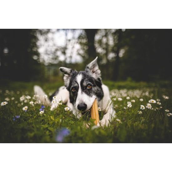 Marp Holistic Horská tyčinka L (70-79g)