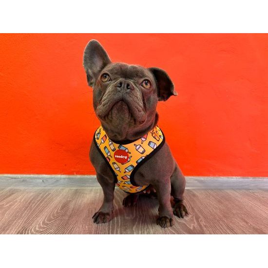 Reedog Kšíry pro psa ICE CREAM