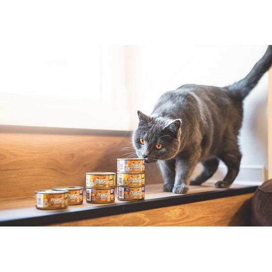 Marp Holistic Plus konzerva pro kočky Tuňákové paté s krevetami 24x70g