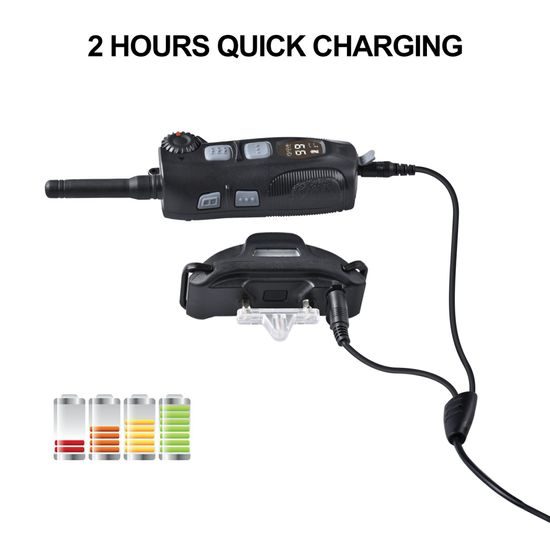 Reedog Elektronický obojek DT-4200