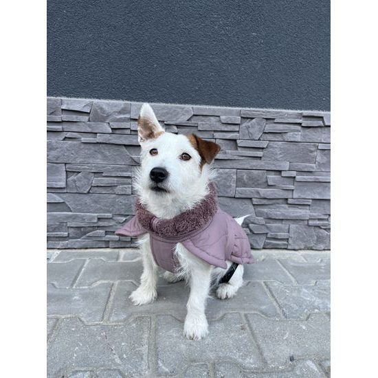 FUNKY DOG Pláštenka pro psa starorůžová