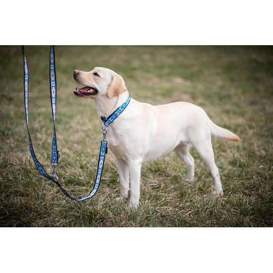 ManMat vodítko PŘEPÍNACÍ