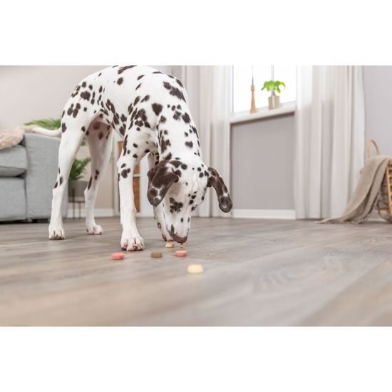 Trixie Vegan Cookie Loops sušenkové kroužky 1,3 kg