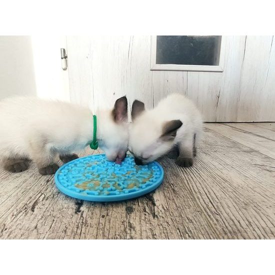 Amarago lízací podložka kruh modrý