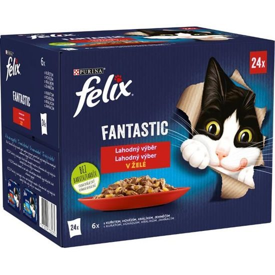 Felix Cat kapsička Fantastic Multipack masový výběr v želé 24x85 g