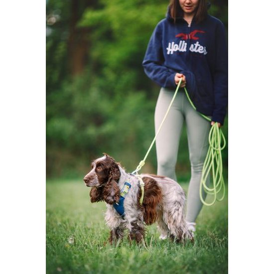 Woolly Wolf Long Rope Leash