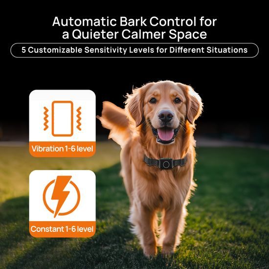 Patpet Bezdrátový ohradník a výcvikový obojek pro psy T800 Pro