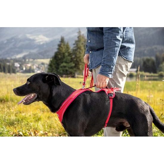 CURLI Postroj pro psy Belka Comfort Red M, 20-30 kg