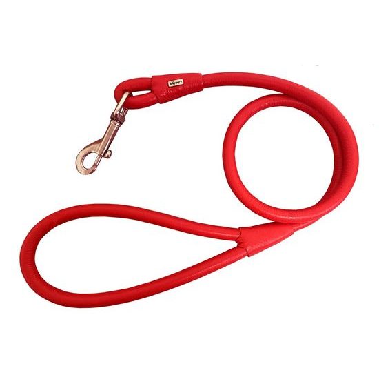 BAFPET Kulaté kožené vodítko EXCLUSIVE červená
