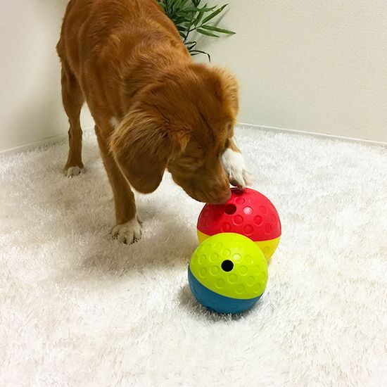 Nina Ottosson Pamlskový hlavolam