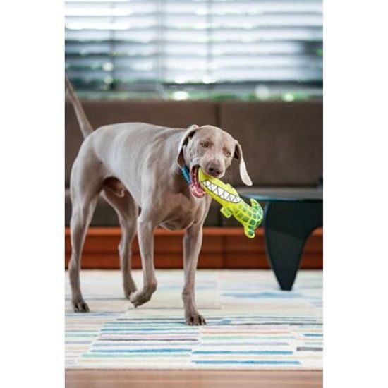 Red Dingo Durables Krokodýl Kyle