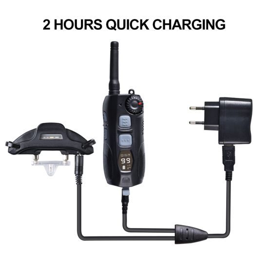 Reedog Elektronický obojek DT-4200