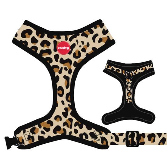 Reedog Kšíry pro psa LEO