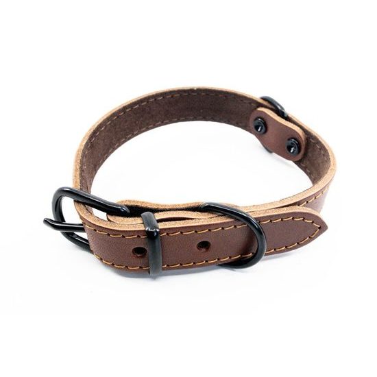 BafPet Kožený obojek ARGUS černé kování koňak