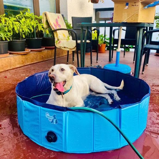 CoolPets bazének Dog Pool
