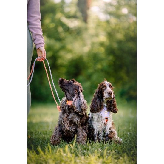 Woolly Wolf Color Block Harness