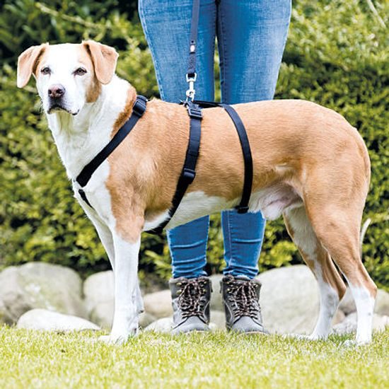 Trixie Nylonový postroj STAY (proti úniku)