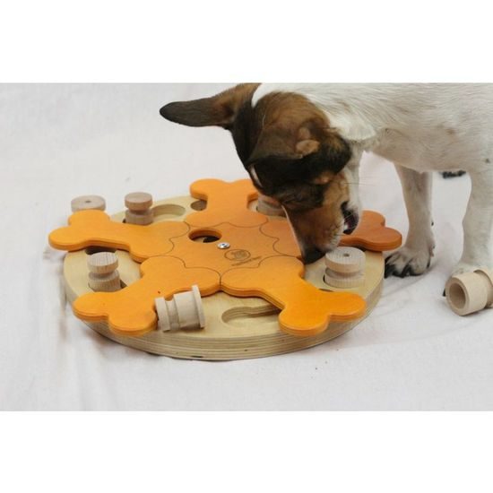 My Intelligent Pets Dřevěný hlavolam Bone's carousel/obtížnost 1-4