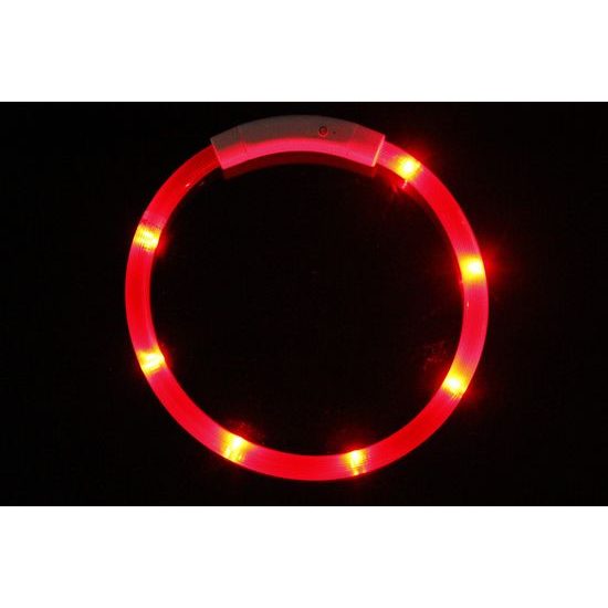 Reedog Easy Light USB dobíjecí svítící obojek pro psy a kočky