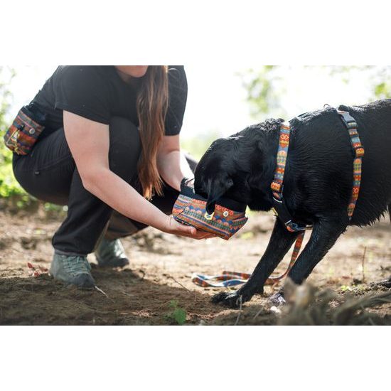 Woolly Wolf Sea To Summit Leash
