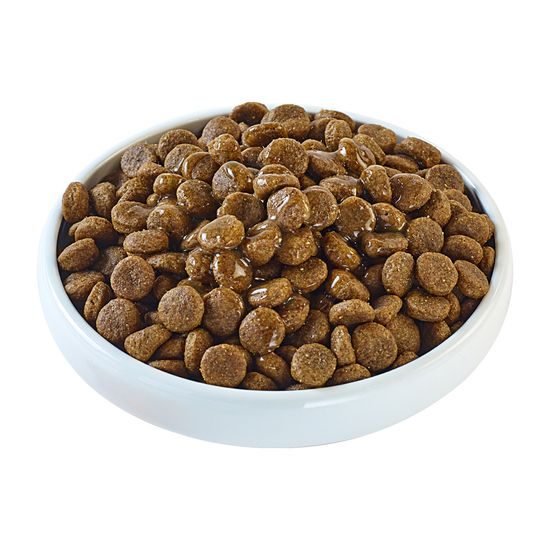 Applaws kapsička Dog Taste Toppers Smoothie vývar 200ml