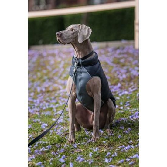 Red Dingo Puffer Jacket Černá / Šedá velikost bundy 25 cm