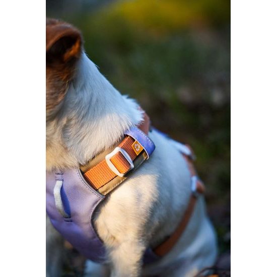 Woolly Wolf Alpha 360 Harness