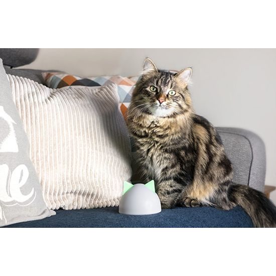 SureFlap Dvířka pro kočky Microchip Cat Door Connect