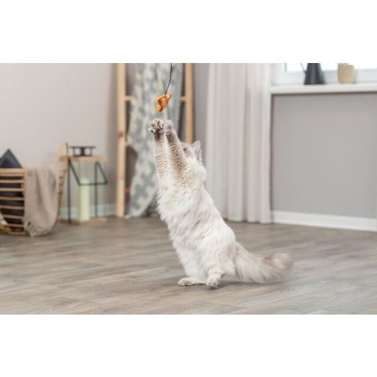 Trixie Hrací prut s rybkou s catnipem 46 cm plast/plyš