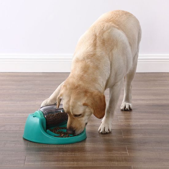 Nina Ottosson Pamlskový hlavolam